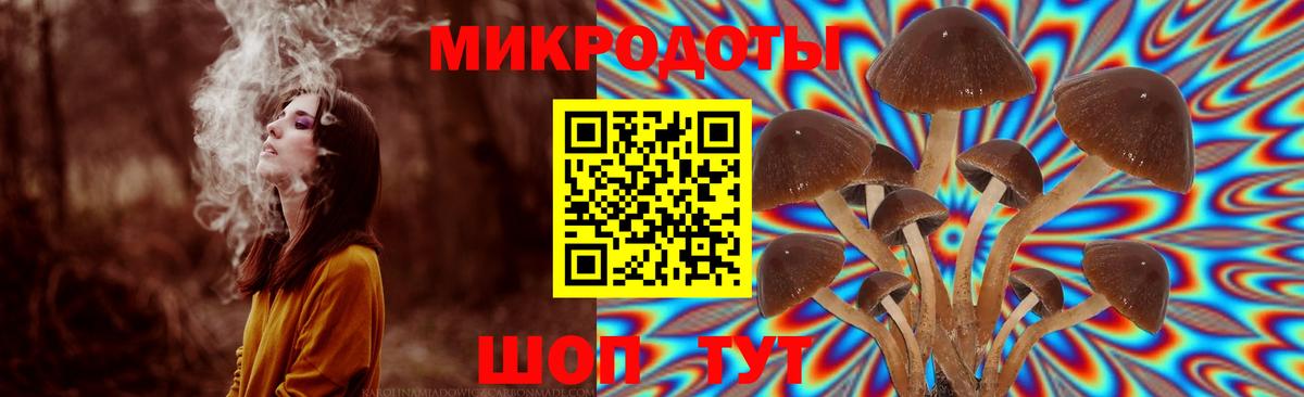 Галлюциногенные грибы мицелий Еманжелинск